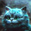 madvaporskillz: (because I'm a cat; that's why)