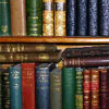owl: pretty pretty books (books)