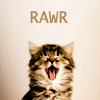 mmmag: A kitten with its mouth open. (Cat: rawr!)