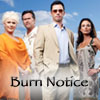 burn_notice: (Burn Notice || cast)