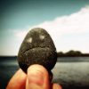 anglepoiselamp: How does a rock get that expressive? I've known people with stonier faces. ([Funnies] Grumpy rock is grumpy)