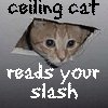 lapislaz: (ceiling cat)