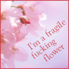 dharma_slut: Delicate pink cherry bloosms say; "I am a fragile fucking flower" (speshul)