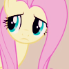 shying: (no fighting wars)