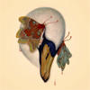 tuberose: james jean - skrwl (Default)