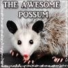 klingonlady: (AWESOME possum)
