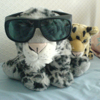 tornir: Photograph of a plushie snowleopard wearing oversized sunglasses, and her plushie leopard sister beside her. (cool 'pard)