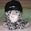 tornir: A photograph of a plushie snowleopard, posing for the camera while wearing a backwards facing baseball cap. (Li'l 'pard)