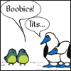 hummingfly67: (boobies_tits)