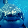 spelt_with_a_g: (Smile)