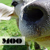amberleewriter: I am a bovine (Moo)