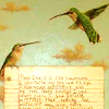 revolutions: Two hummingbirds hovering in the air above what looks like a sheet of paper with writing on (hummingbirds)