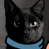 ext_572084: (Default)