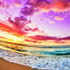 Van: self rainbow beaches