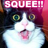 ravenmichiru: (Kitten (Squee))