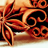 mmouse15: close up of cinnamon sticks and dried apple centers with seeds. (Cinnamon & apple seeds)