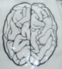 101things: (brain)