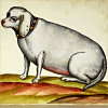 lenine: (Fat Doggie from Semyaza)