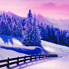 kay_brooke: Snowy landscape with a fence, an evergreen forest, and a pink sky (winter)