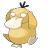 telapathetic: (Psyduck pose)