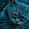 neverinvolvedwithpolotics: (smug cat)