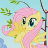 3_butterflies: (Ohmygoodness!!!)