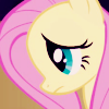 3_butterflies: (I'm Sorry...)