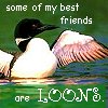 elynross: (loons)