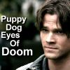 mercilynn: ({spn} puppy!sam)
