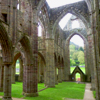 archaeologist_d: (Tintern Abbey)