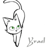 mogget_cat: (c-curious)