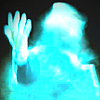 mogget_cat: (h-reforming)