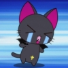 catdracula: (WHAT IS MY LIFE NYA~)