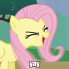 kindestpegasus: (yay)
