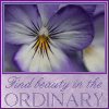 winding_path: (Beauty in the Ordinary)