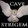 filialucis: (Cave Strigem)