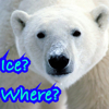 twistedchick: (ice where)