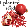 rhi: A full pomegranate, a half pomegranate, and a pouring of seeds.  "I planted a seed." (seed)