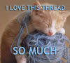 archangelbeth: A kitten sleeping, head propped on a ball of yarn, with the words, "I love this thread SO MUCH." (Love This Thread)