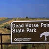 namey: (dead horse)