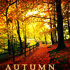 rubytuesday5681: (autumn2)