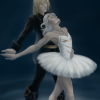 shinypaladin: (swan lake)