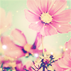 muffinbutton: (Pink!)