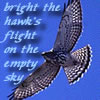 redbird: A bird, soaring, with the text "bright the hawk's flight on the empty sky," text and photo (hawk)