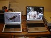 ellarien: two laptops (computers2)