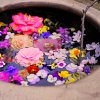 muji: ([nature] outpour of flowers)