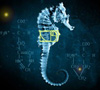 majkia: (seahorse)