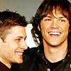 yami_tai: Jensen & Jared smiling (lierina jensen&jared)