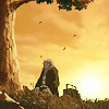 genarti: ([avatar] the sun so gold)