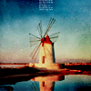 raidingwindmills: (windmills)